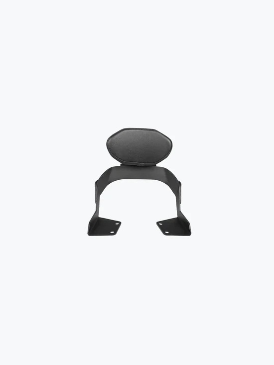 LCB-HUNTER BACKREST WITH CARRIER-MOTOR CYC ACC