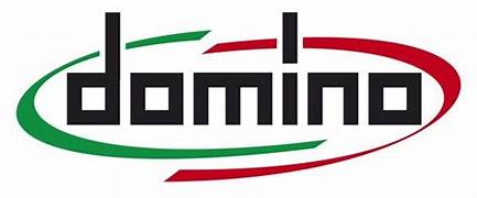 DOMINO