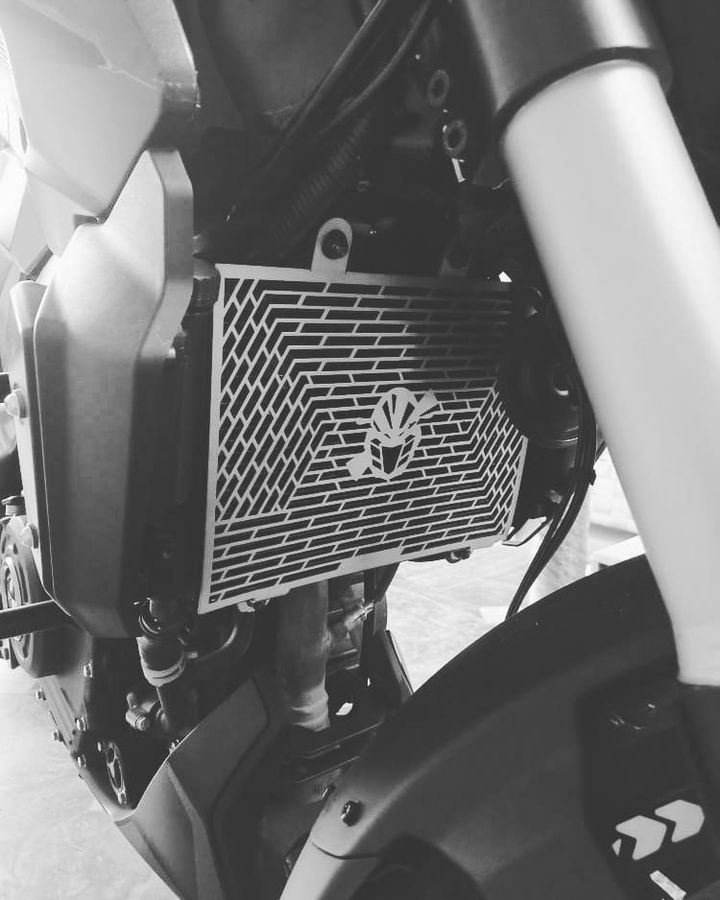 RADIATOR GUARD V3-DOMINAR METTALLIC SILVER