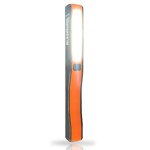 BULLWARK-3 WATT STRIP&1 WATT SPOT LIGHT-LIGHT